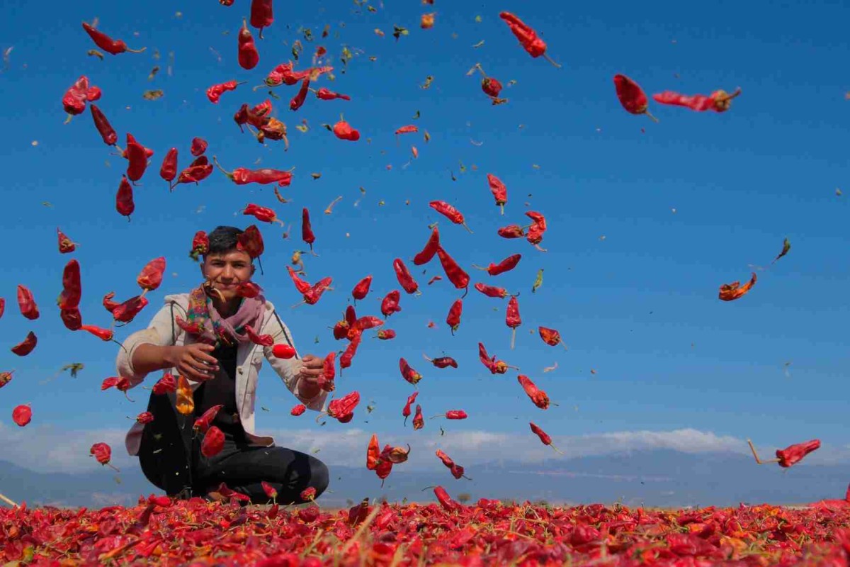 Gaziantep'in hikâyesi fotoğraf karelerinde yaşayacak
